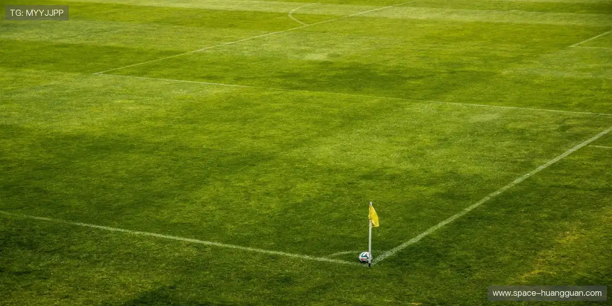 🏀 神仙打架瞬息万变,每一球都值回票价,精彩程度超乎想象!💎